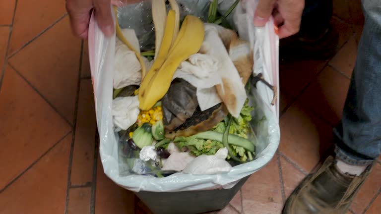 Best Dumpster Rental Services  in Chapel Hill, NC